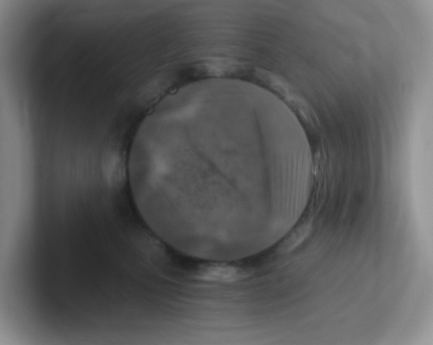 X0000101650471200808071118
