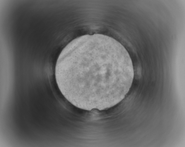 X0000101650472200808071118