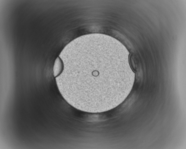 X0000101650473200808071118