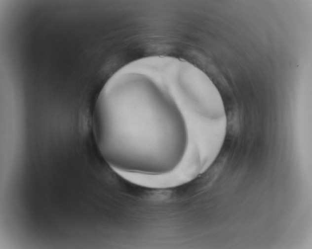 X0000101650474200808071118