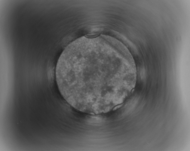 X0000101650475200808071118