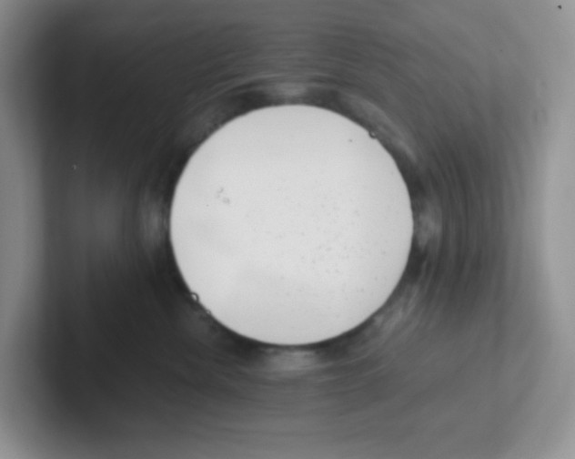 X0000101650476200808071118