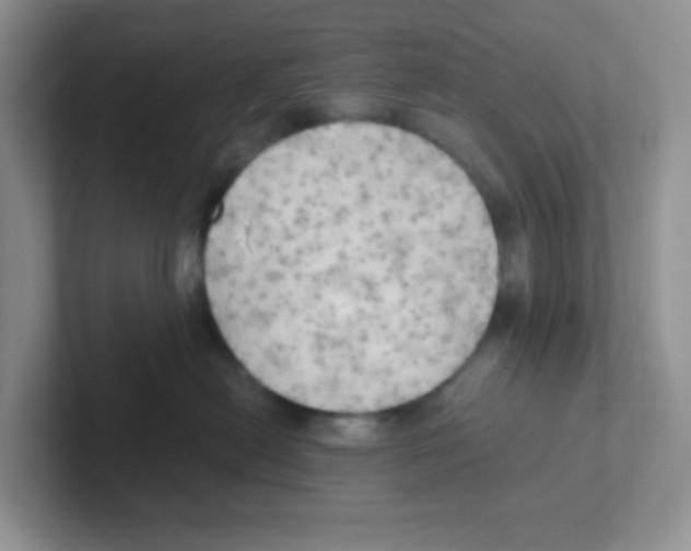 X0000101650478200808071118