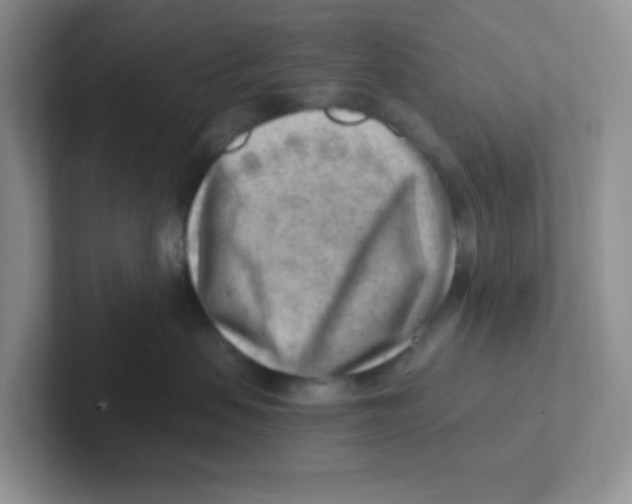 X0000101650479200808071118