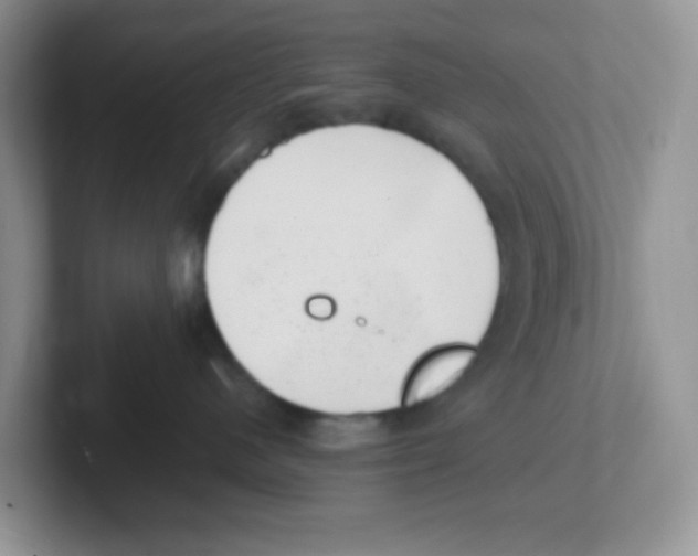 X0000101650480200808071118