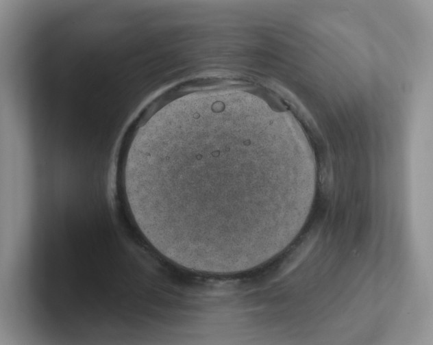 X0000101650484200808071117