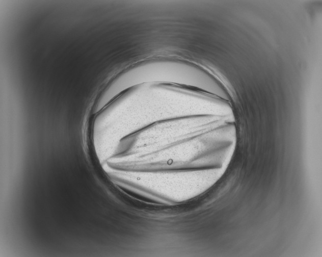 X0000101650485200808071117