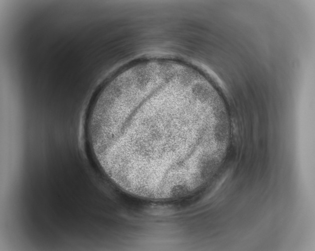 X0000101650487200808071117