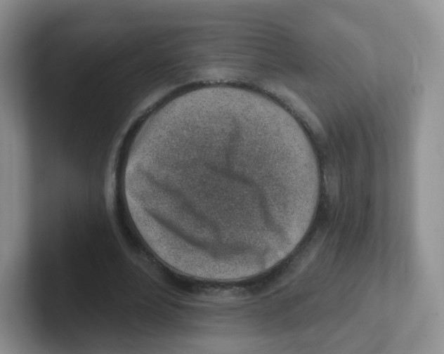 X0000101650488200808071117