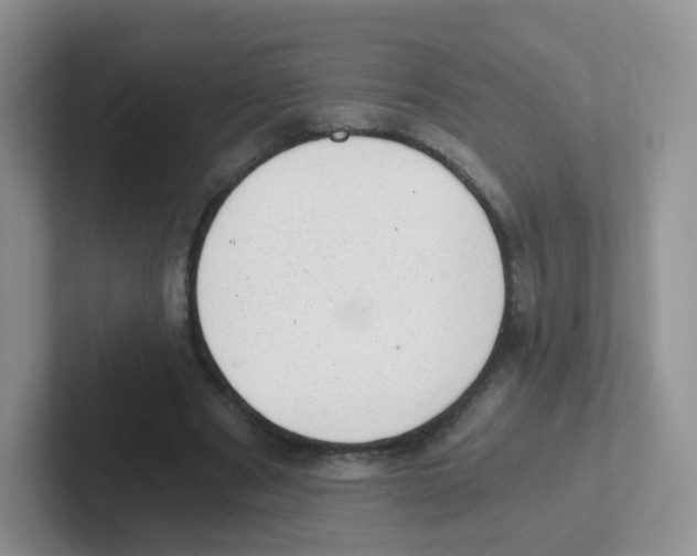X0000101650489200808071117