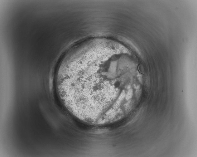 X0000101650491200808071117