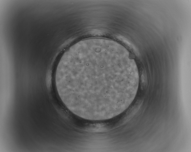 X0000101650492200808071117