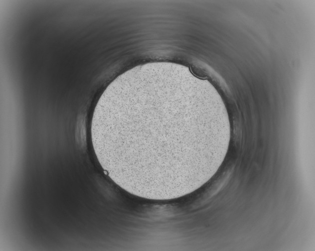 X0000101650493200808071117