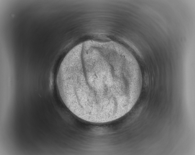 X0000101650494200808071117
