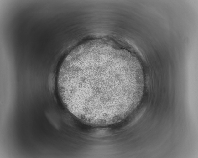 X0000101650495200808071117