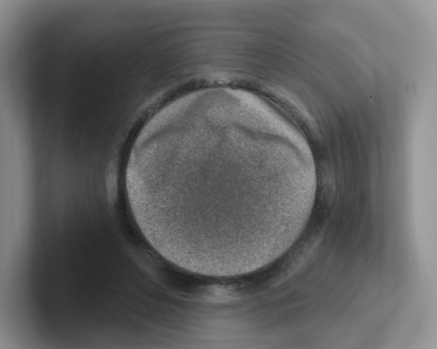 X0000101650496200808071117