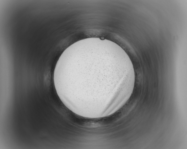 X0000101650498200808071117