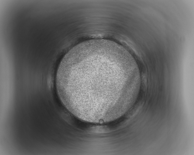 X0000101650499200808071117