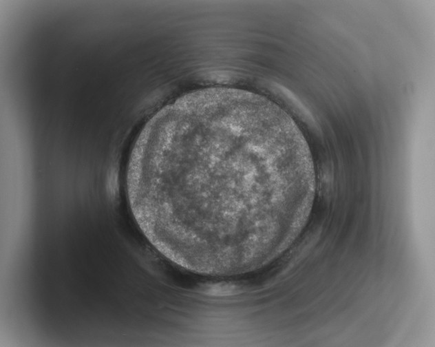 X0000101650500200808071117