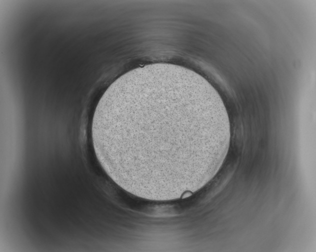 X0000101650501200808071117