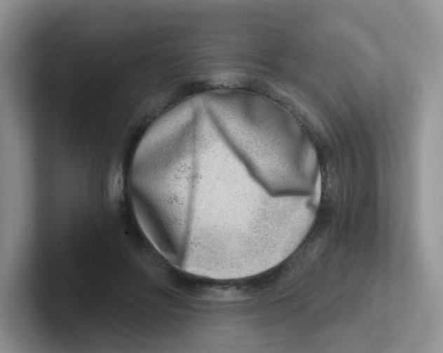 X0000101650502200808071117