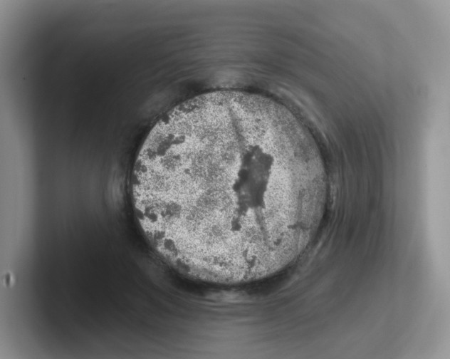 X0000101650503200808071117