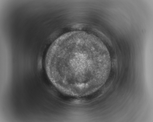 X0000101650504200808071117