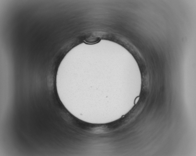 X0000101650505200808071117