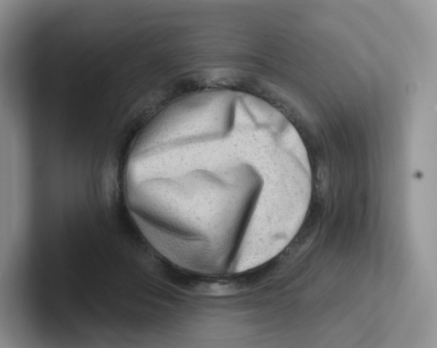 X0000101650506200808071117