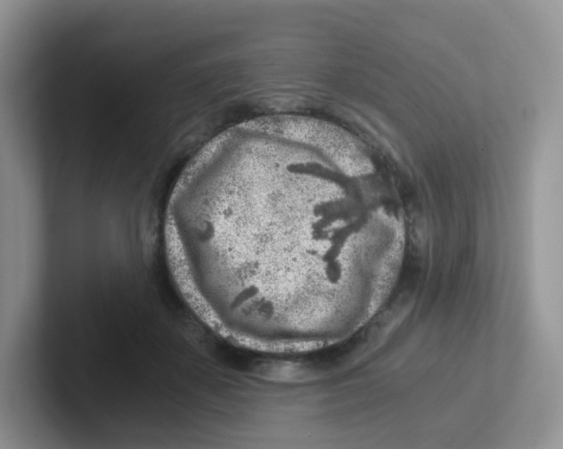 X0000101650507200808071117