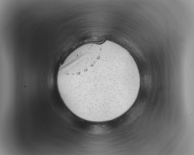 X0000101650508200808071117