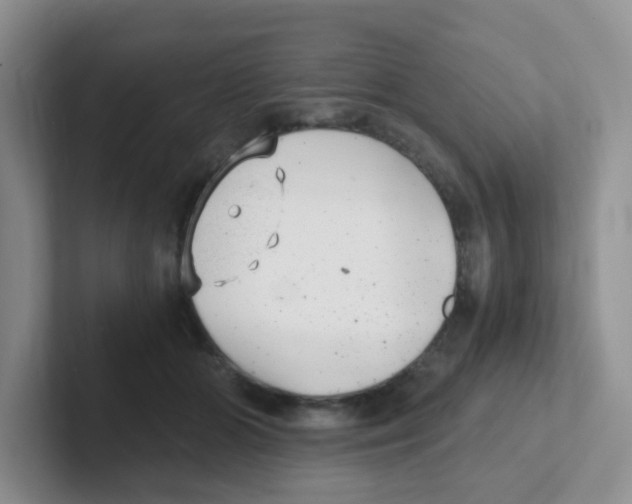 X0000101650510200808071117