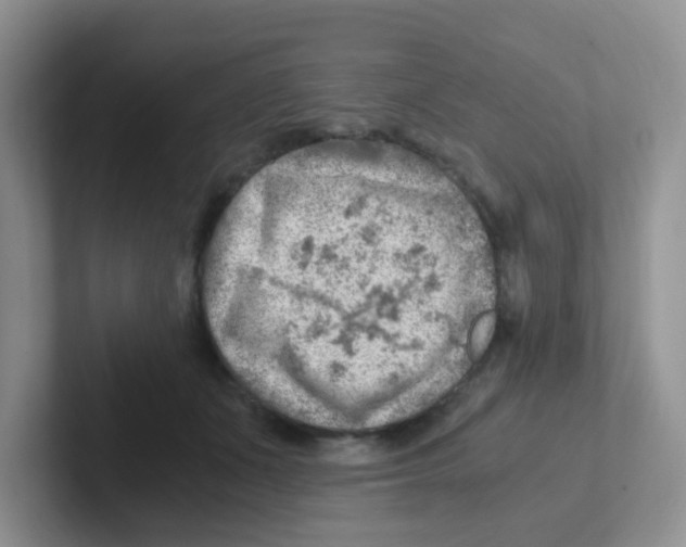 X0000101650511200808071117