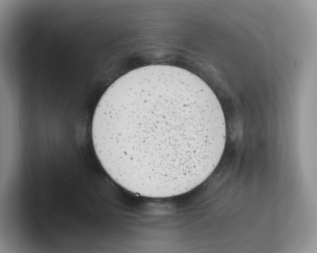 X0000101650515200808071117