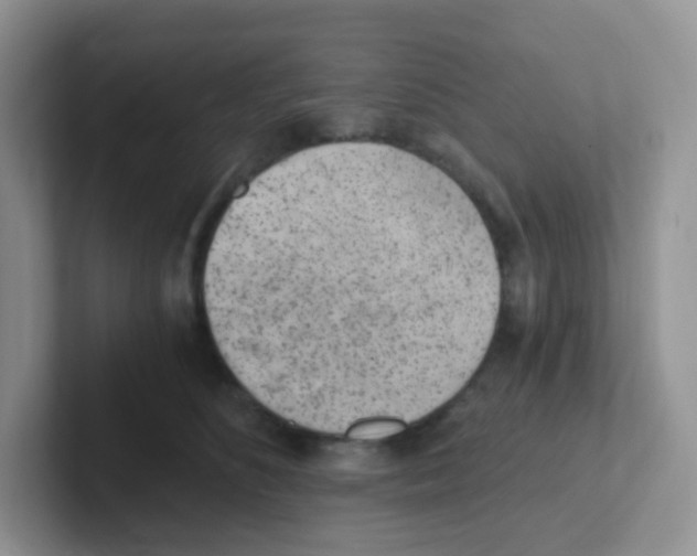 X0000101650516200808071117