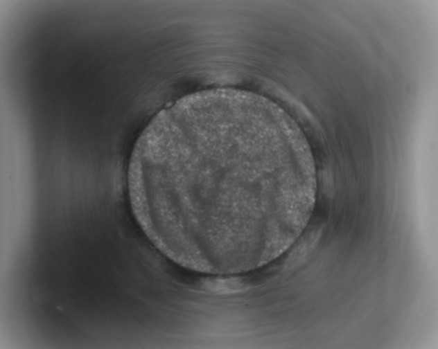 X0000101650517200808071117
