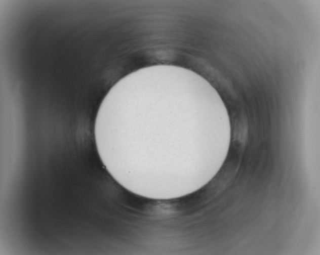 X0000101650518200808071117