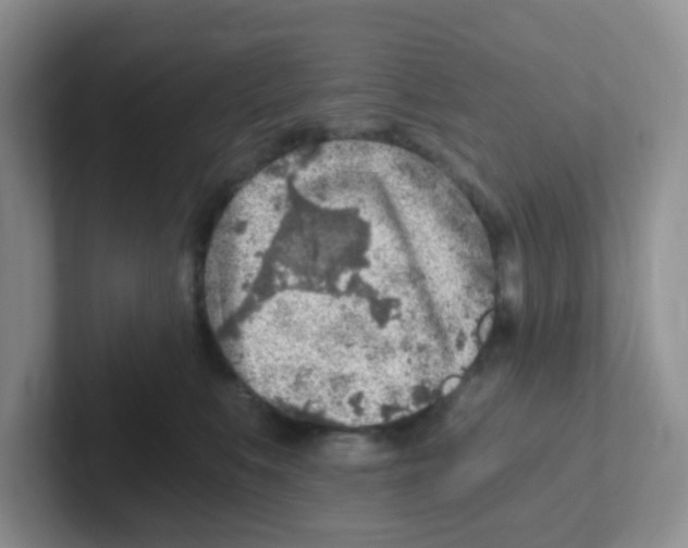X0000101650519200808071117