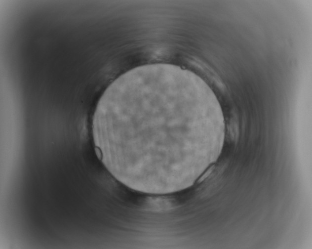 X0000101650520200808071117