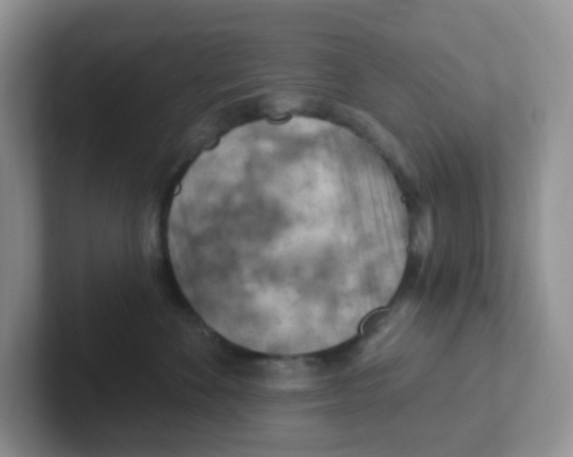X0000101650524200808071117