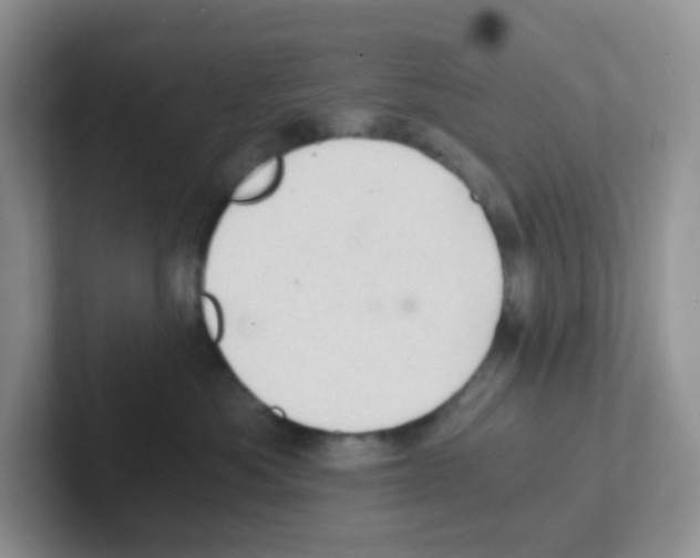 X0000101650525200808071117