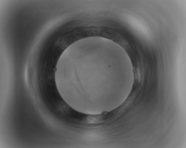 X0000101650526200808071117