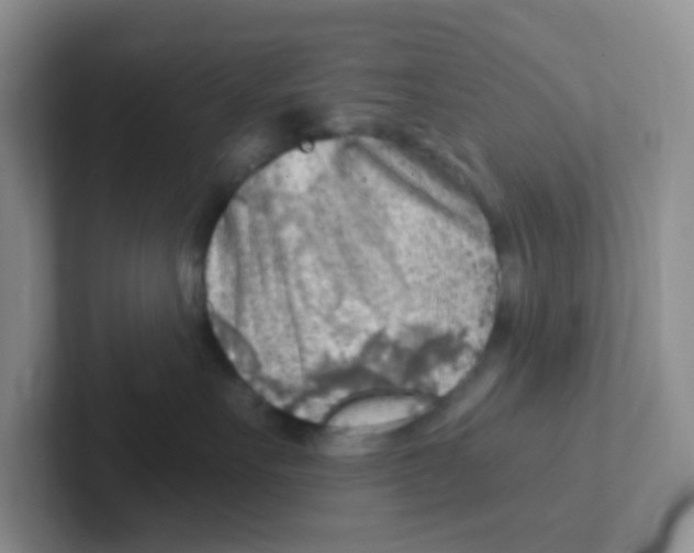 X0000101650527200808071117
