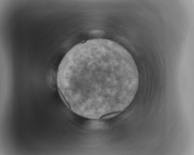 X0000101650528200808071117