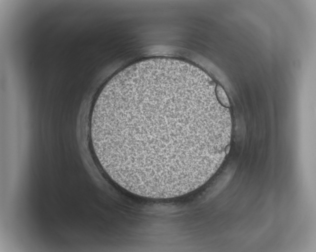 X0000101650529200808071116