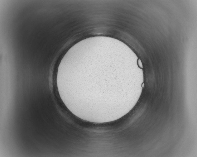 X0000101650530200808071116