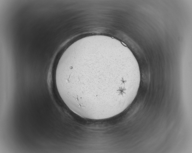 X0000101650532200808071116