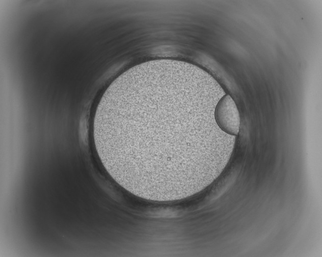 X0000101650533200808071116