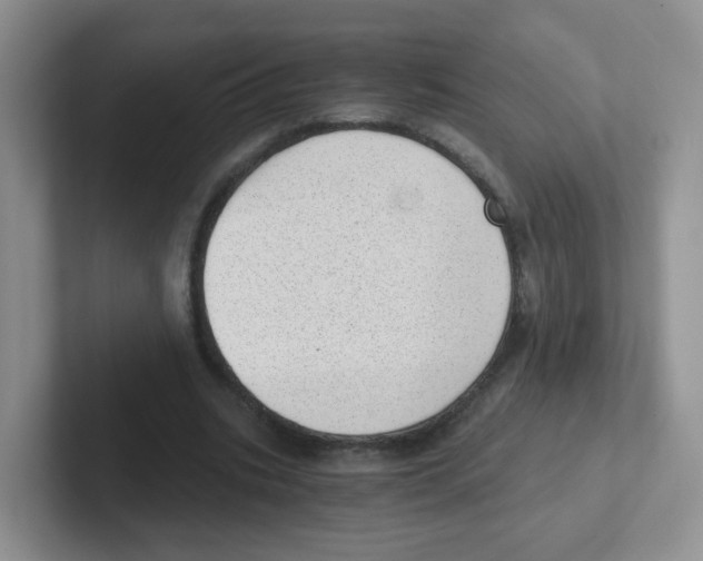 X0000101650535200808071116
