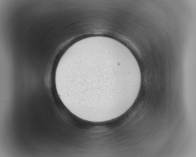 X0000101650536200808071116